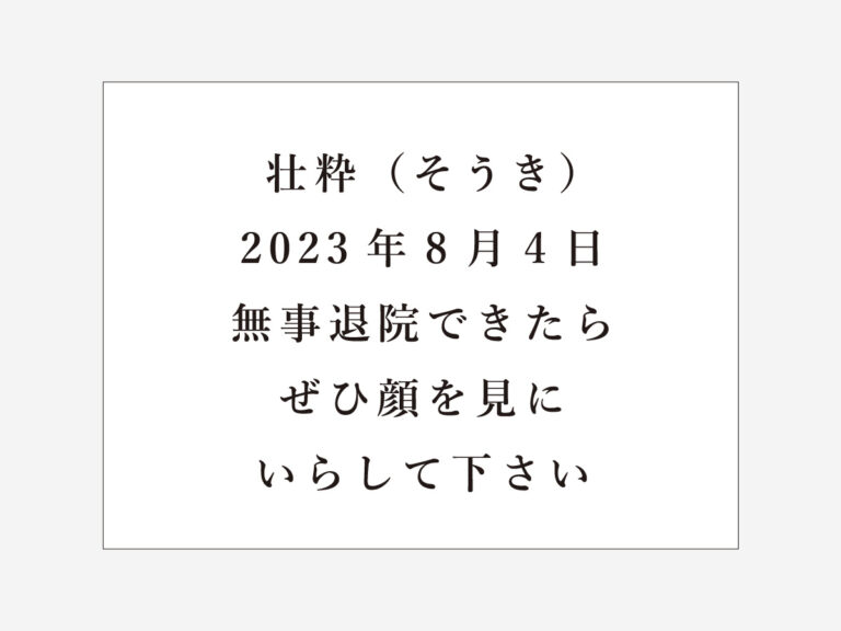 原稿データ